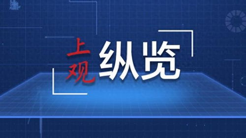 激活数字引擎 中国数字服贸为开放型世界经济注入新动能